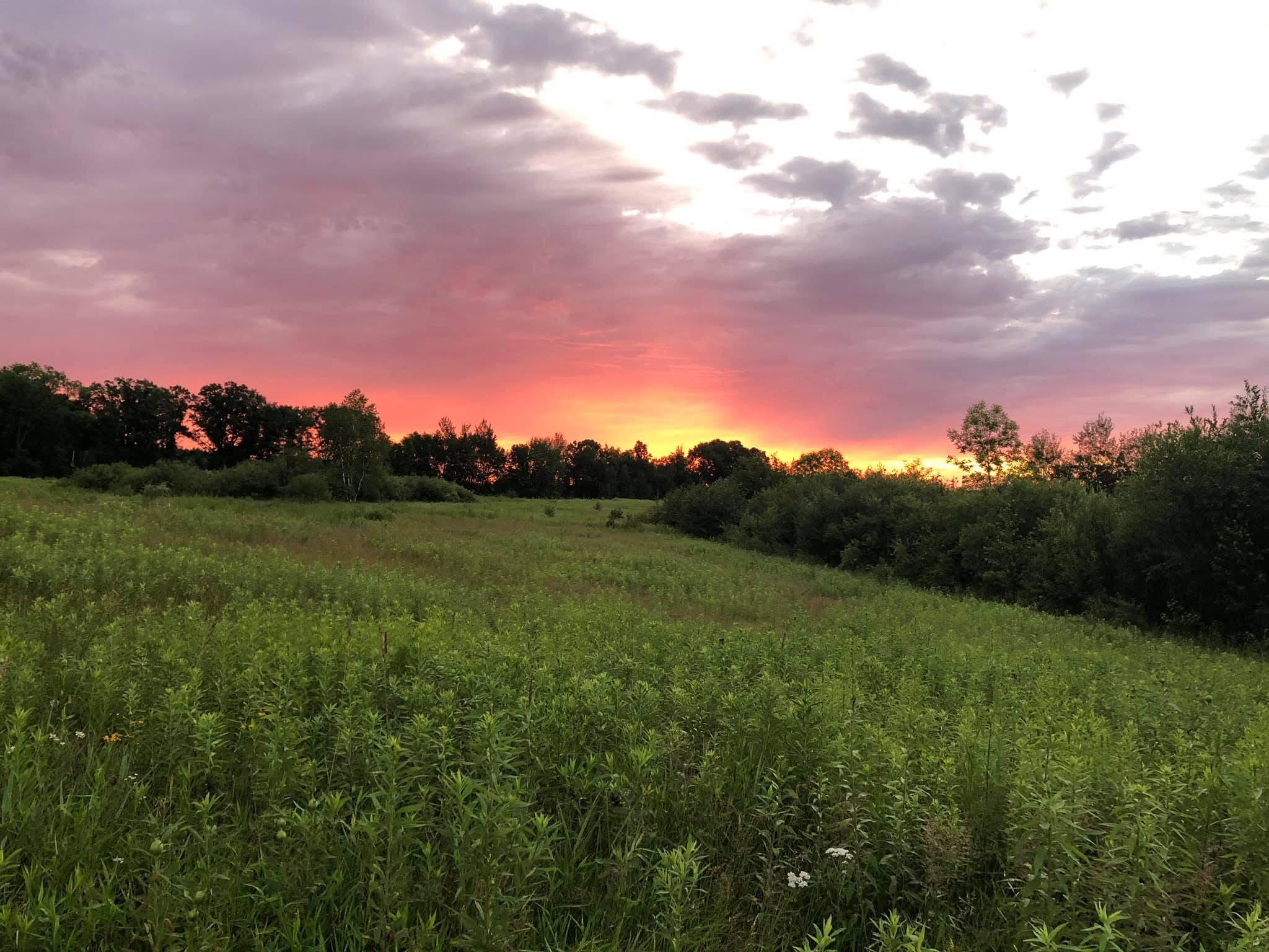 Tbd Dixon Line Road Finlayson, MN 55735 - Photo 4 of 22