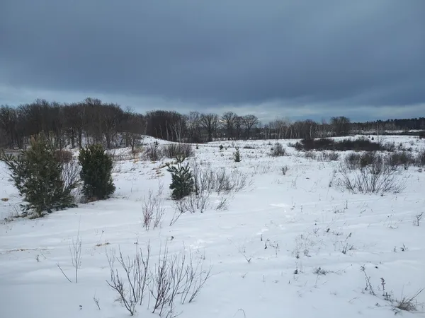 $99,995 | Tbd Dixon Line Road, Finlayson, MN 55735