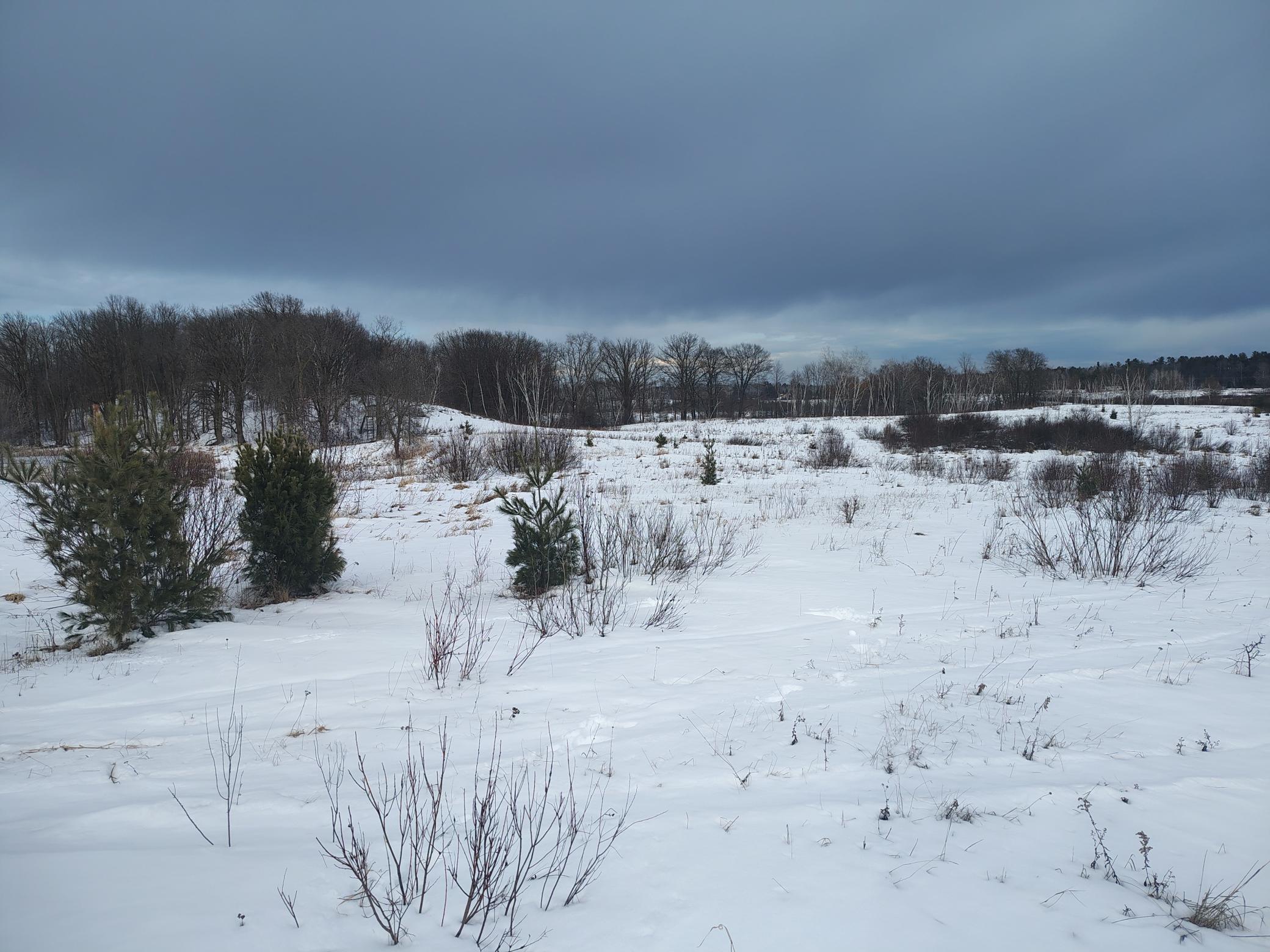 Tbd Dixon Line Road Finlayson, MN 55735 - Photo 6 of 22
