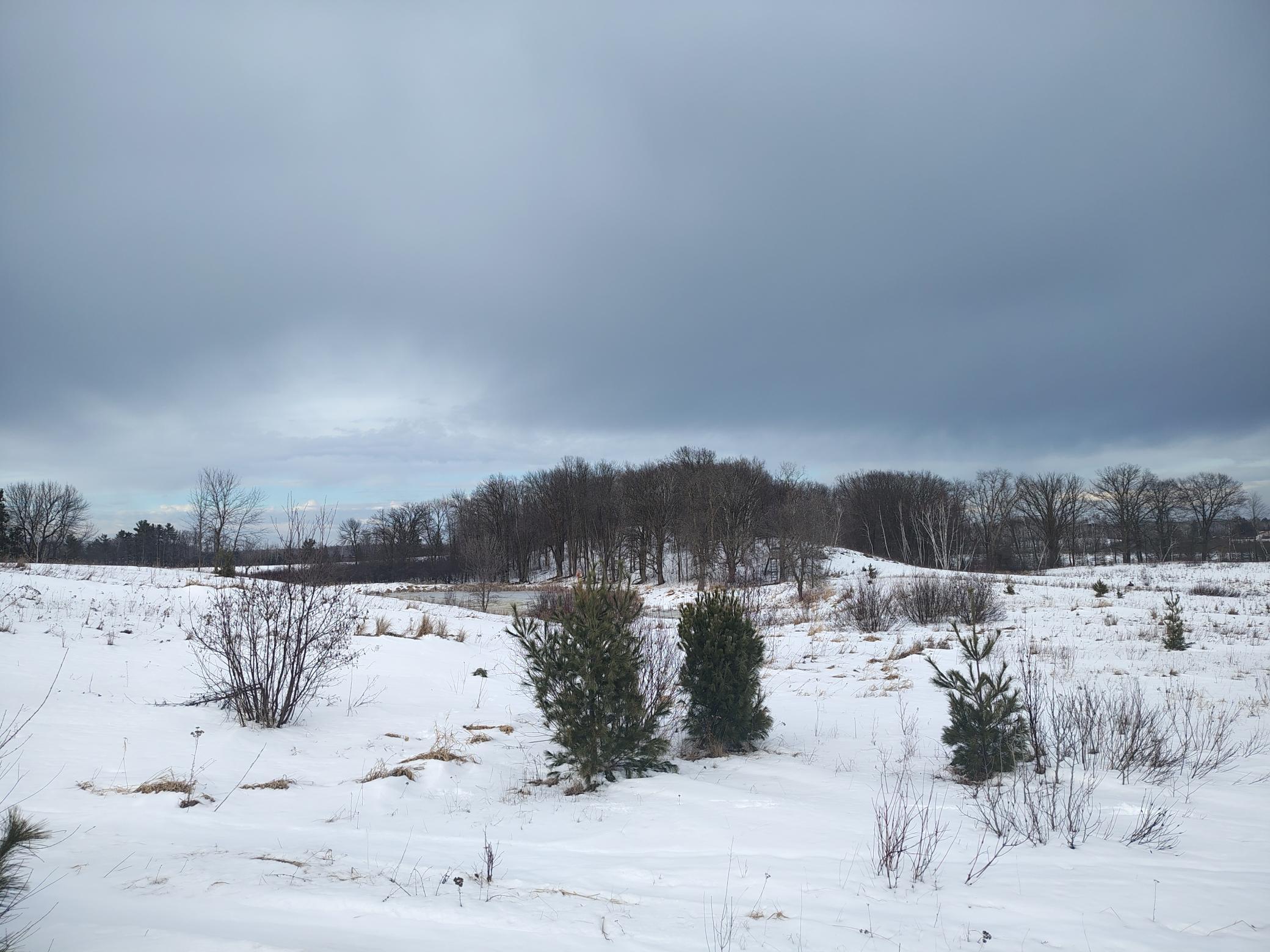 Tbd Dixon Line Road Finlayson, MN 55735 - Photo 8 of 22