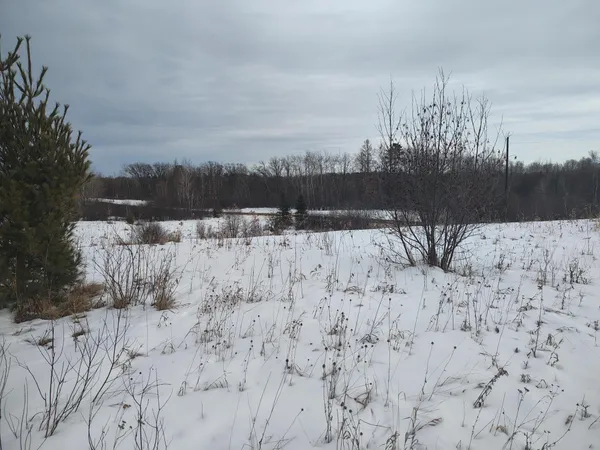 $99,995 | Tbd Dixon Line Road, Finlayson, MN 55735