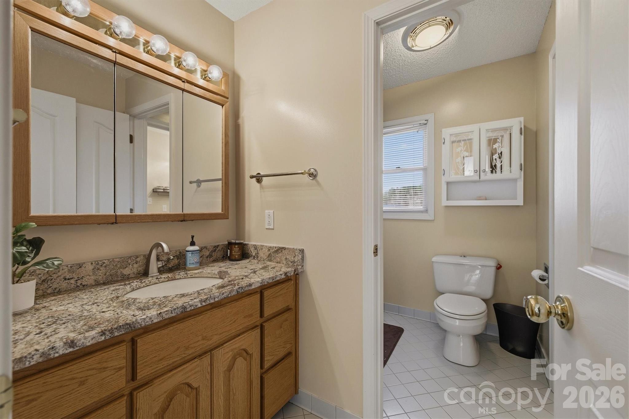 46 Mariners Point Lane Hickory, NC 28601 - Photo 31 of 43 a bathroom with a granite countertop sink a large mirror and a toilet