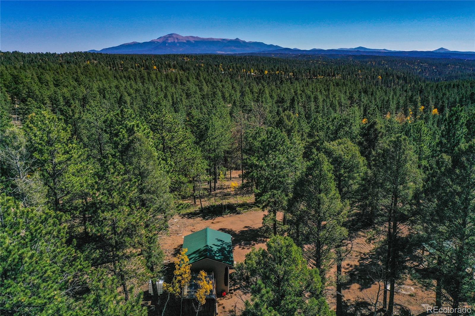 a view of a lush green forest with a lake
