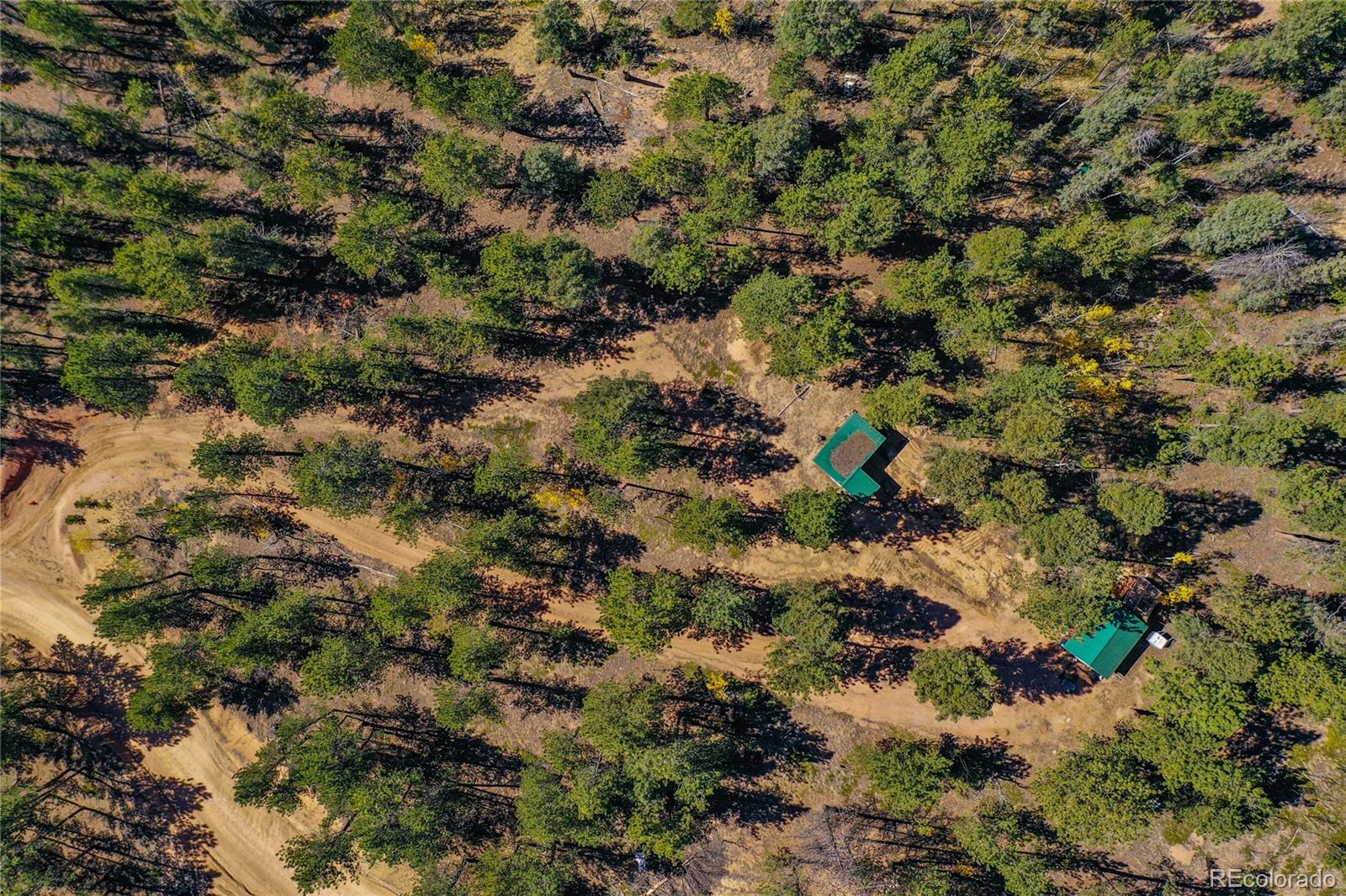 3447 Pathfinder Road Florissant, CO 80816 - Photo 11 of 40 a view of a house with a tree