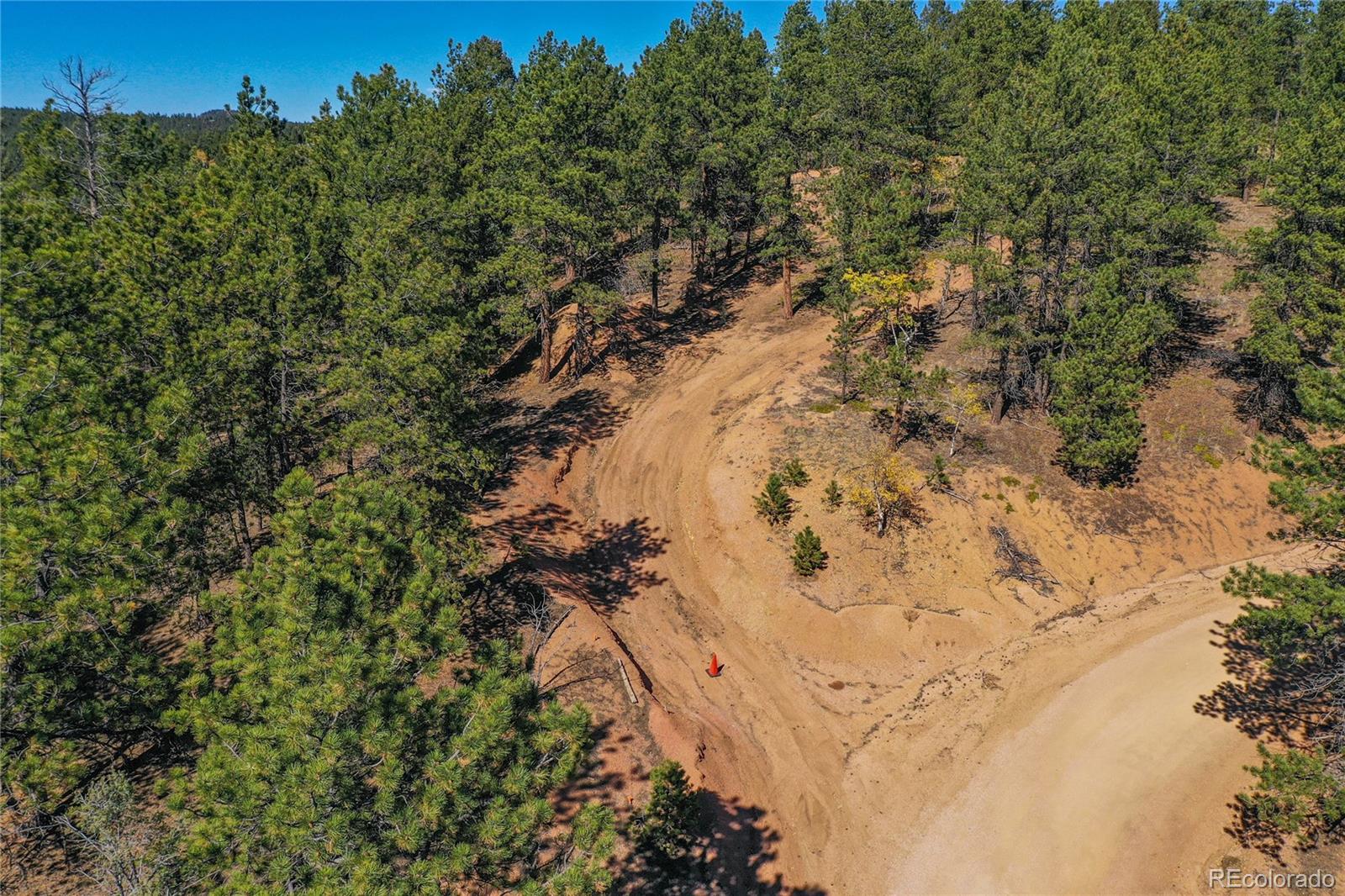 3447 Pathfinder Road Florissant, CO 80816 - Photo 12 of 40 a view of a tree with a yard