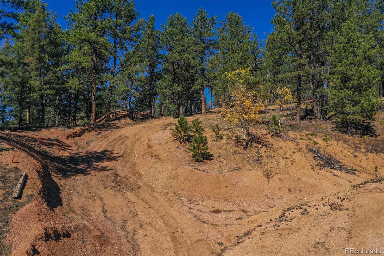 3447 Pathfinder Road Florissant, CO 80816 - Photo 13 of 40 a view of a backyard of the house
