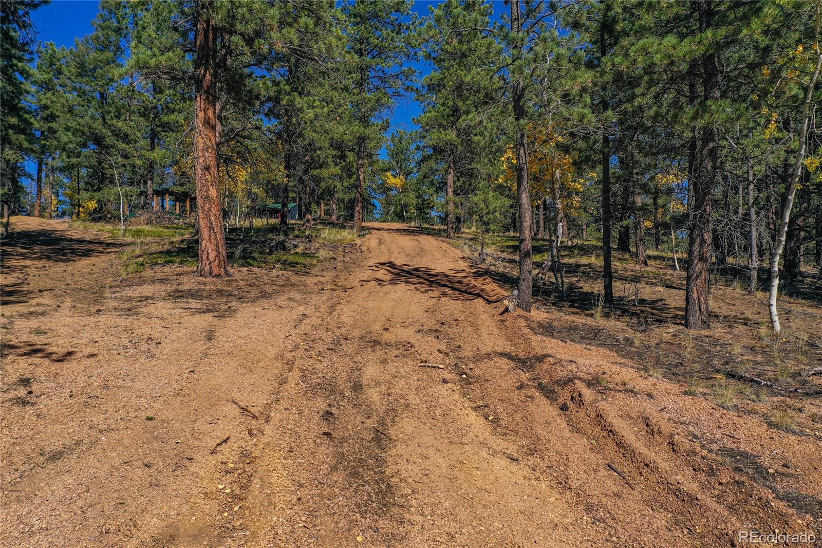 3447 Pathfinder Road Florissant, CO 80816 - Photo 14 of 40 a view of backyard with green space