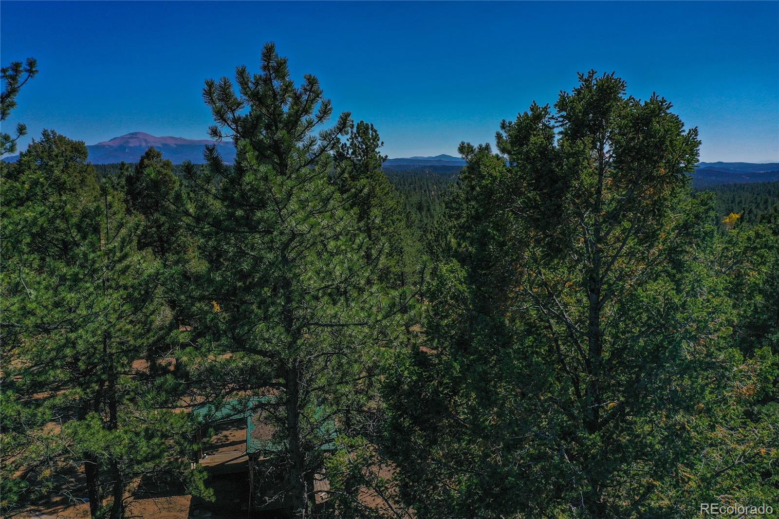 3447 Pathfinder Road Florissant, CO 80816 - Photo 16 of 40