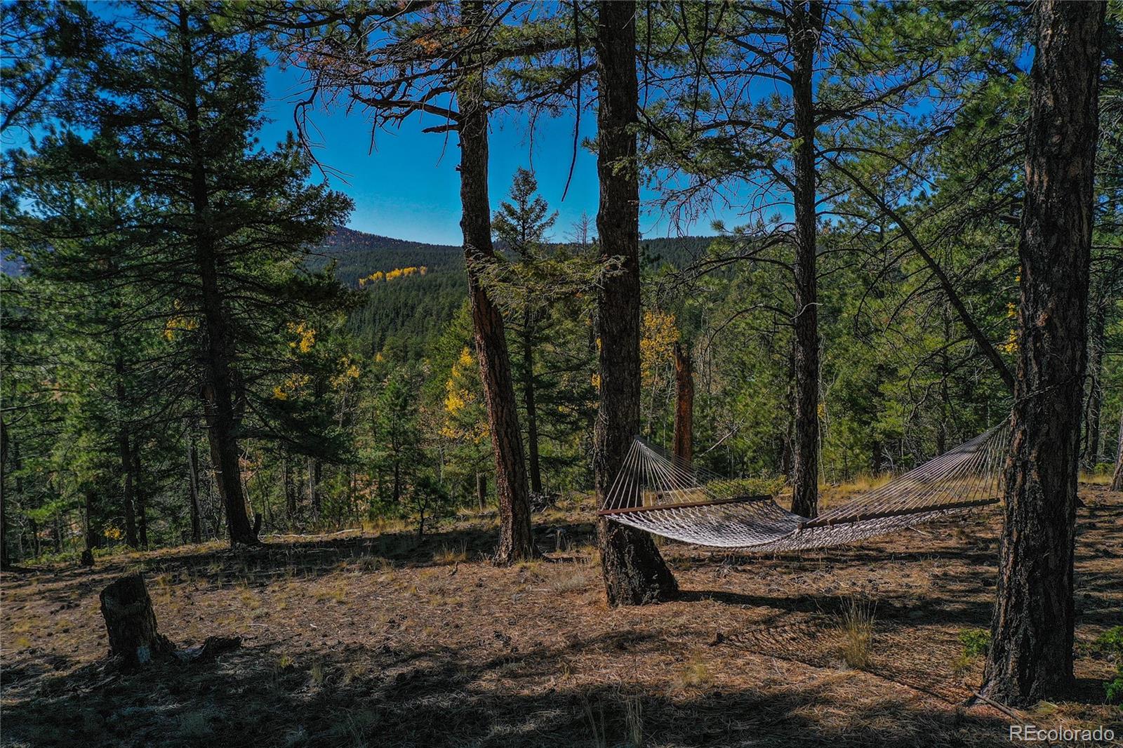 3447 Pathfinder Road Florissant, CO 80816 - Photo 17 of 40