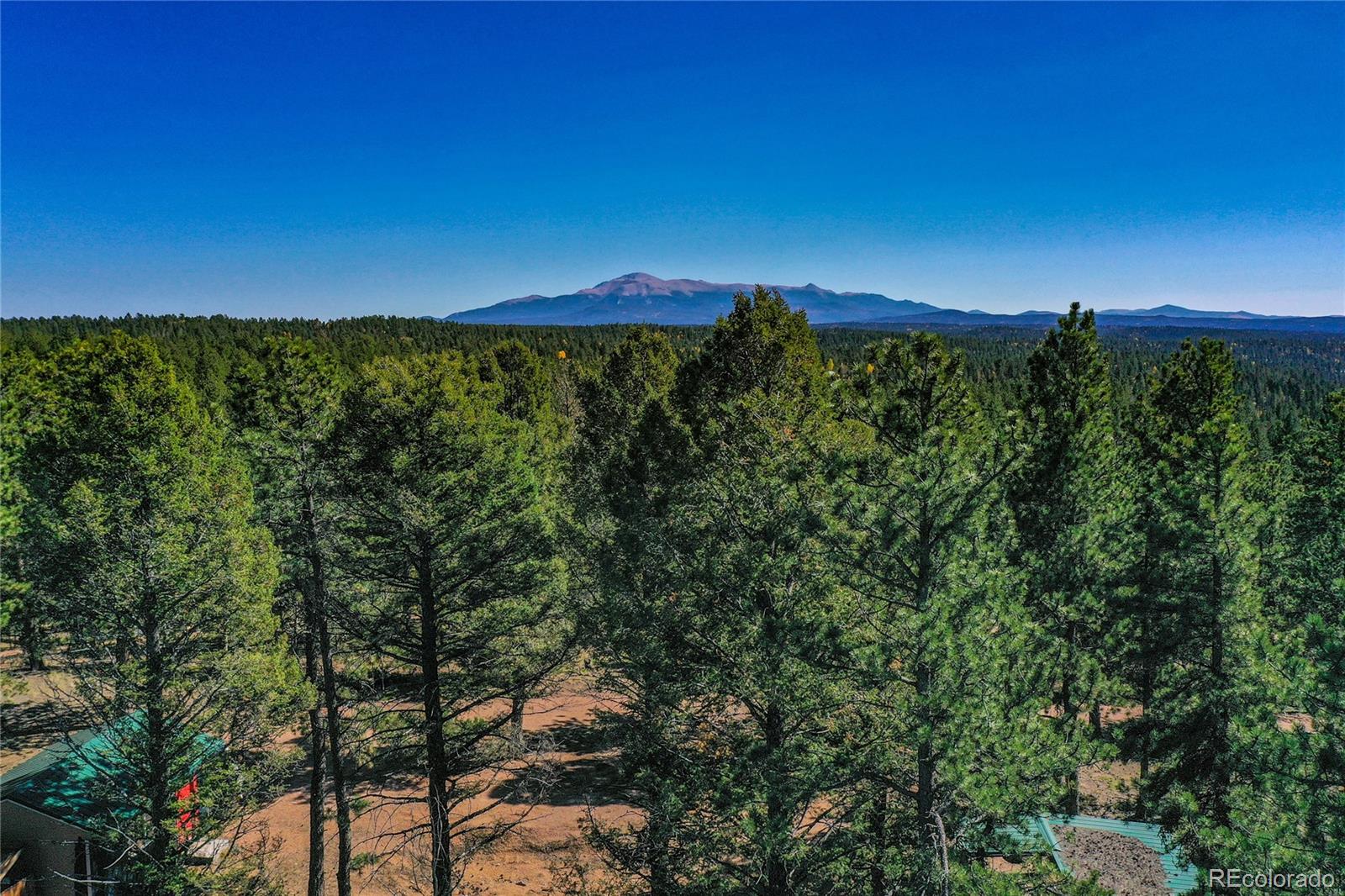 3447 Pathfinder Road Florissant, CO 80816 - Photo 19 of 40 a view of a city