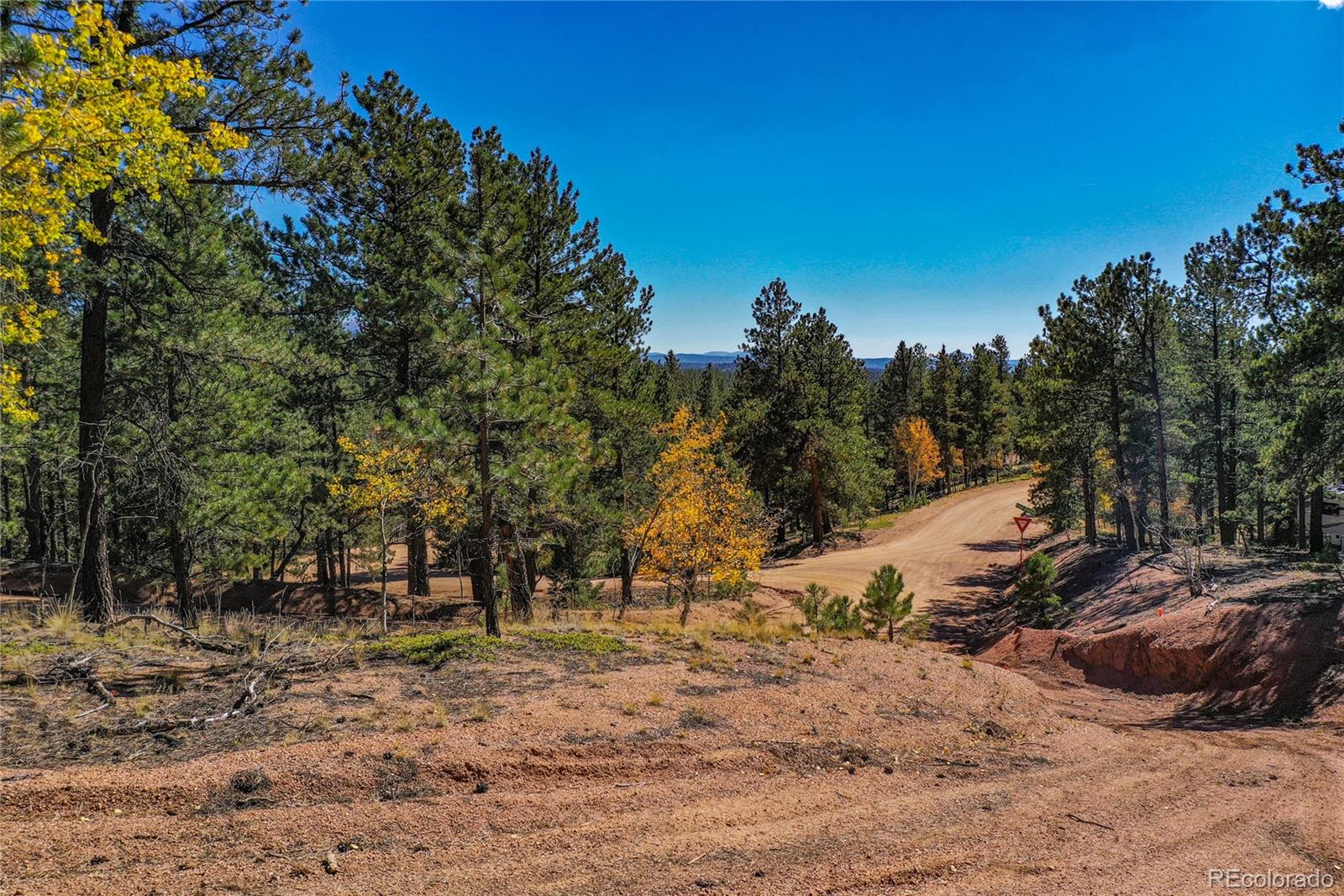 3447 Pathfinder Road Florissant, CO 80816 - Photo 22 of 40 a view of outdoor space with trees