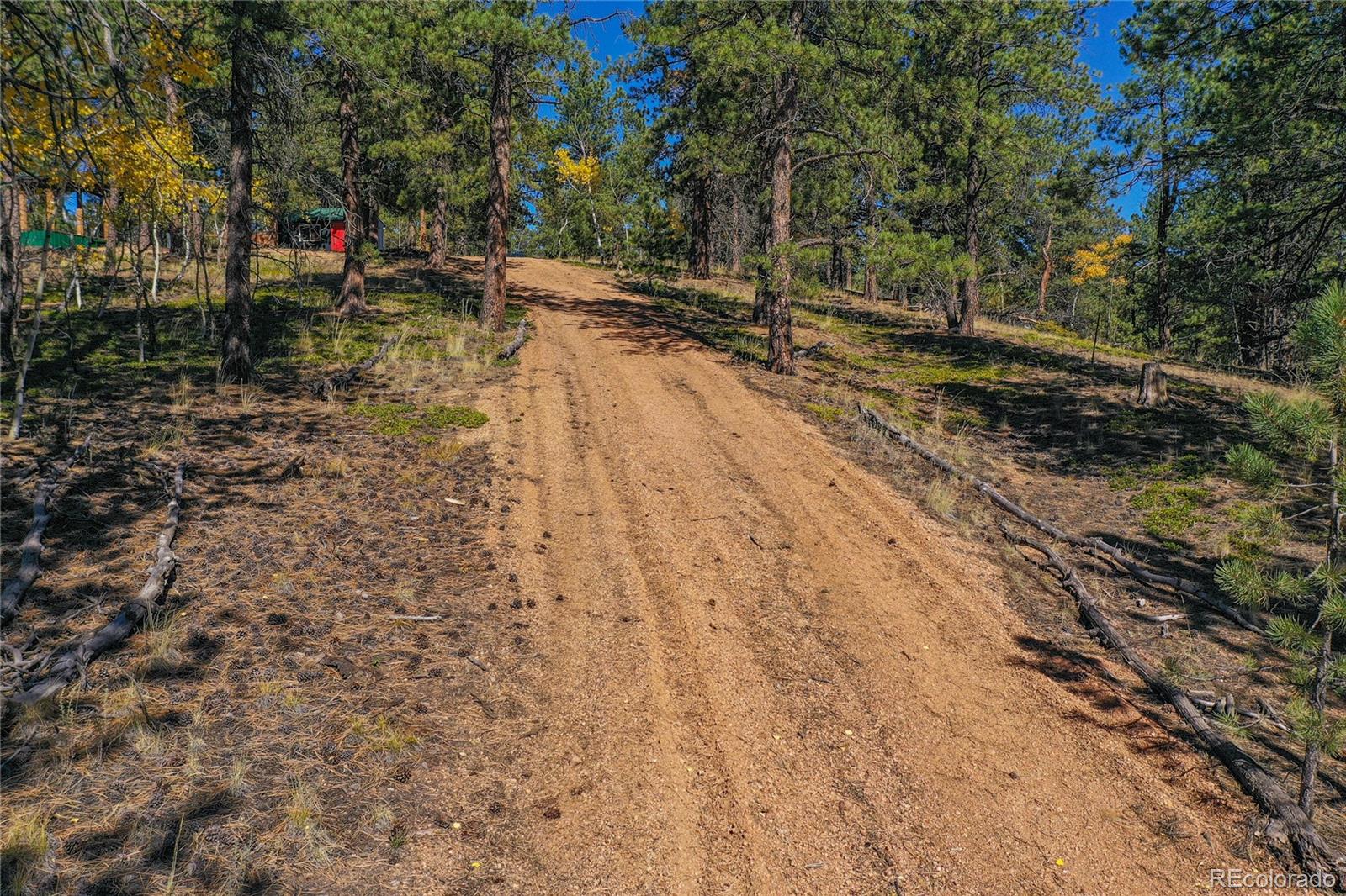 3447 Pathfinder Road Florissant, CO 80816 - Photo 23 of 40 a view of yard with trees