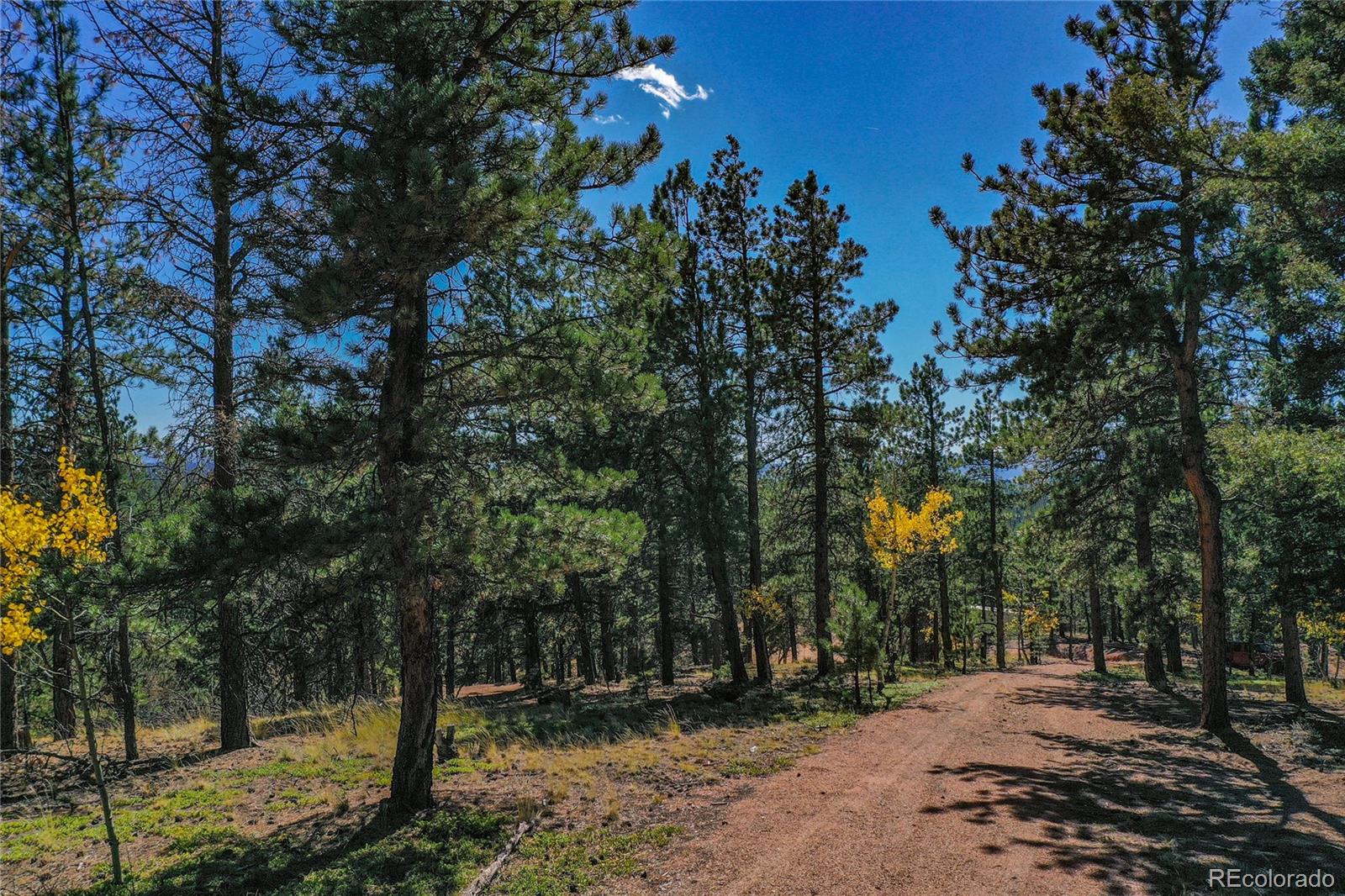 3447 Pathfinder Road Florissant, CO 80816 - Photo 31 of 40 a view of outdoor space with trees