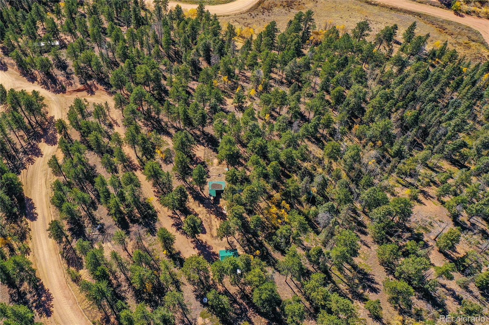 3447 Pathfinder Road Florissant, CO 80816 - Photo 39 of 40 a view of a tree