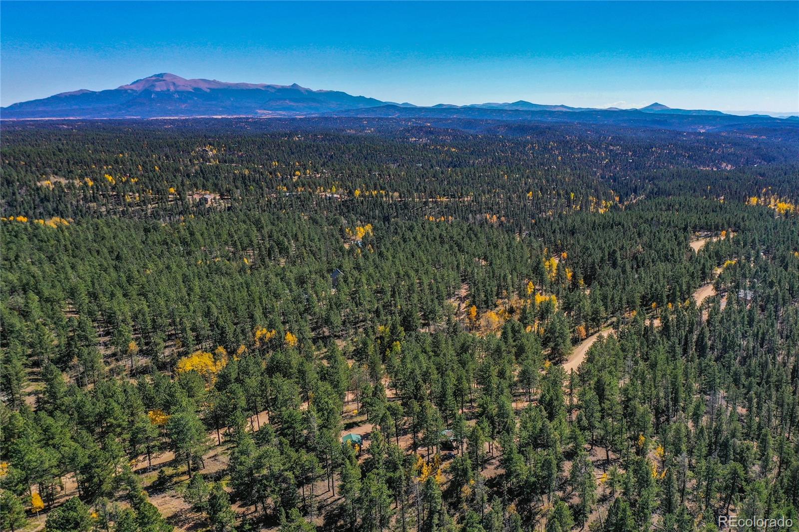 3447 Pathfinder Road Florissant, CO 80816 - Photo 5 of 40 a view of a lush green hillside and a houses