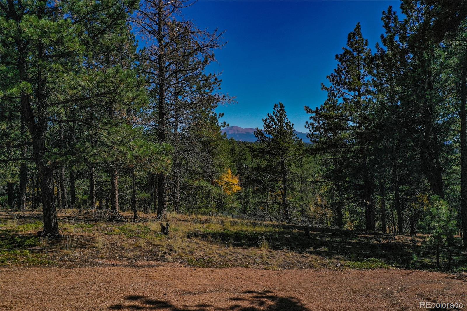 3447 Pathfinder Road Florissant, CO 80816 - Photo 6 of 40 a view of a backyard
