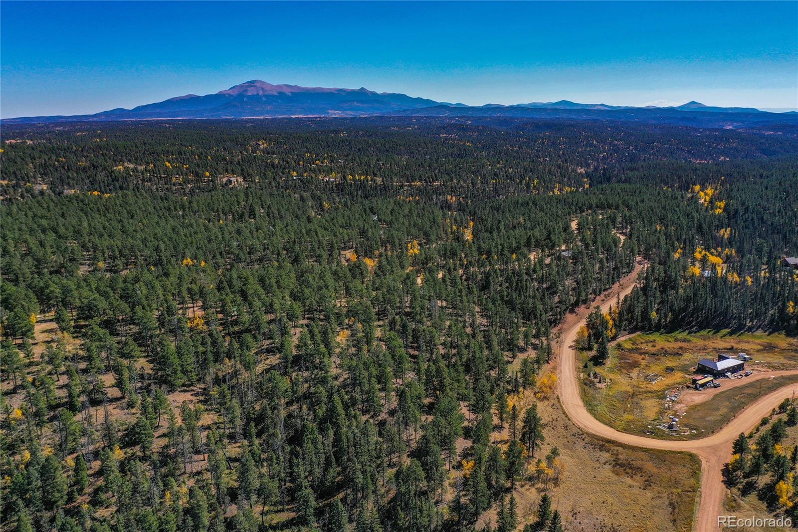 3447 Pathfinder Road Florissant, CO 80816 - Photo 9 of 40 a view of a mountain from a yard