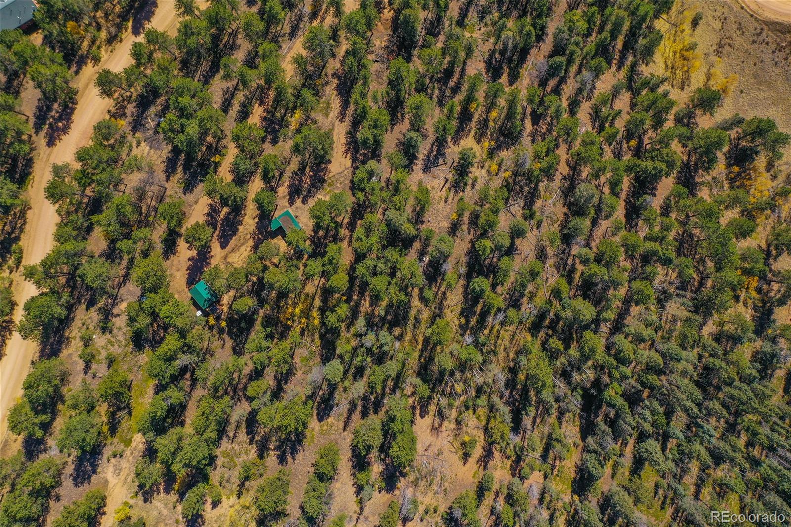 3447 Pathfinder Road Florissant, CO 80816 - Photo 10 of 40 a view of a dry yard