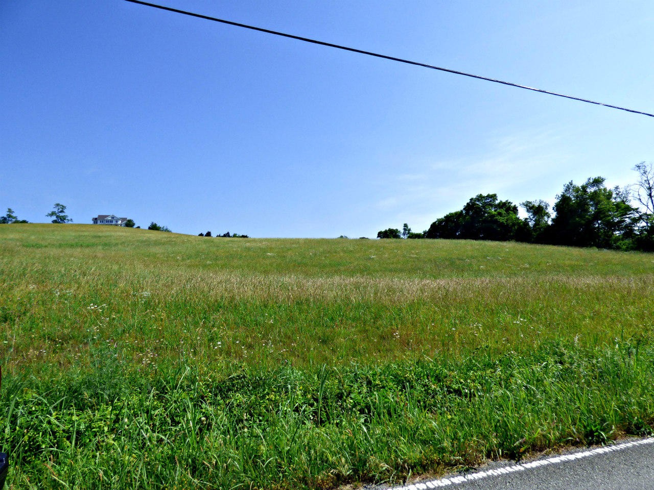 0 Owl Hole Gap Road Rutledge, TN 37861 - Photo 1 of 12 Gallery Image 1