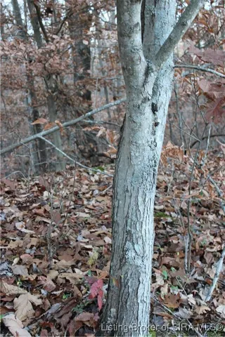 $1,950,000 | 3403 North Lino Lane, Scottsburg, IN 47170