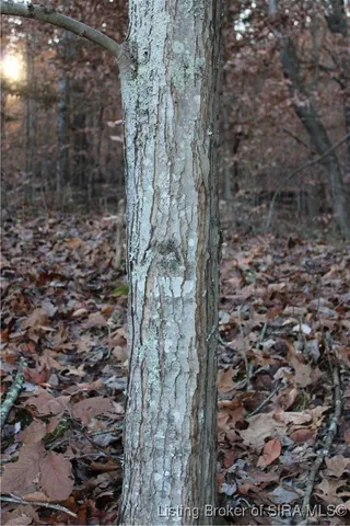 $1,950,000 | 3403 North Lino Lane, Scottsburg, IN 47170