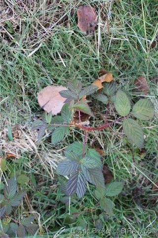 $1,950,000 | 3403 North Lino Lane, Scottsburg, IN 47170