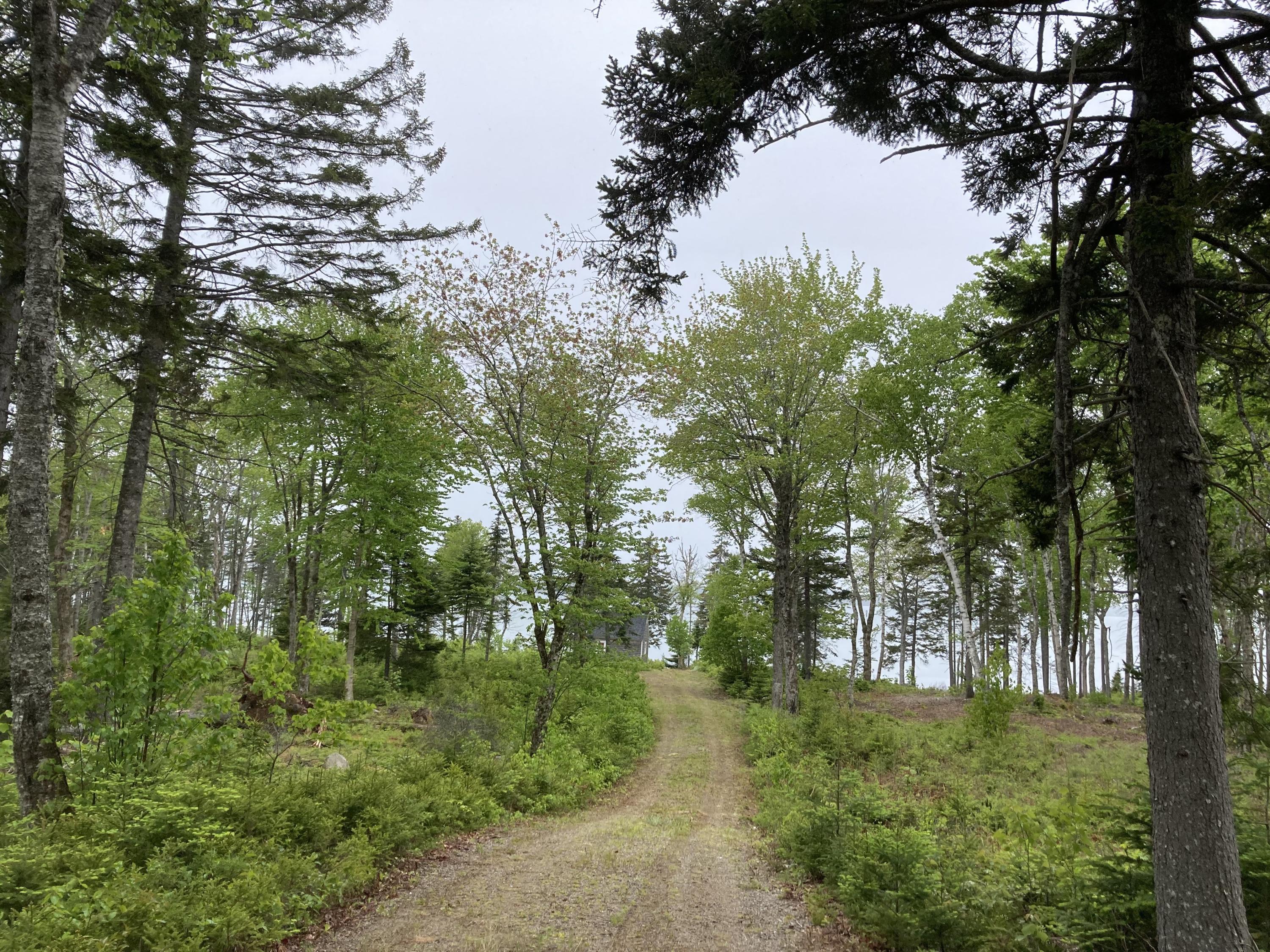 170 Estates Road Steuben, ME 04680 - Photo 18 of 31 IMG_0038