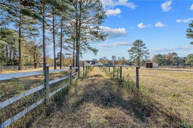 a view of a dry yard with a house in the background