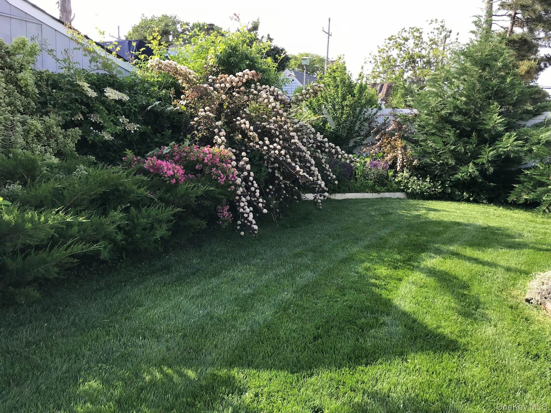 3348 3rd Street Oceanside, NY 11572 - Photo 26 of 32 a view of a garden with plants and large trees