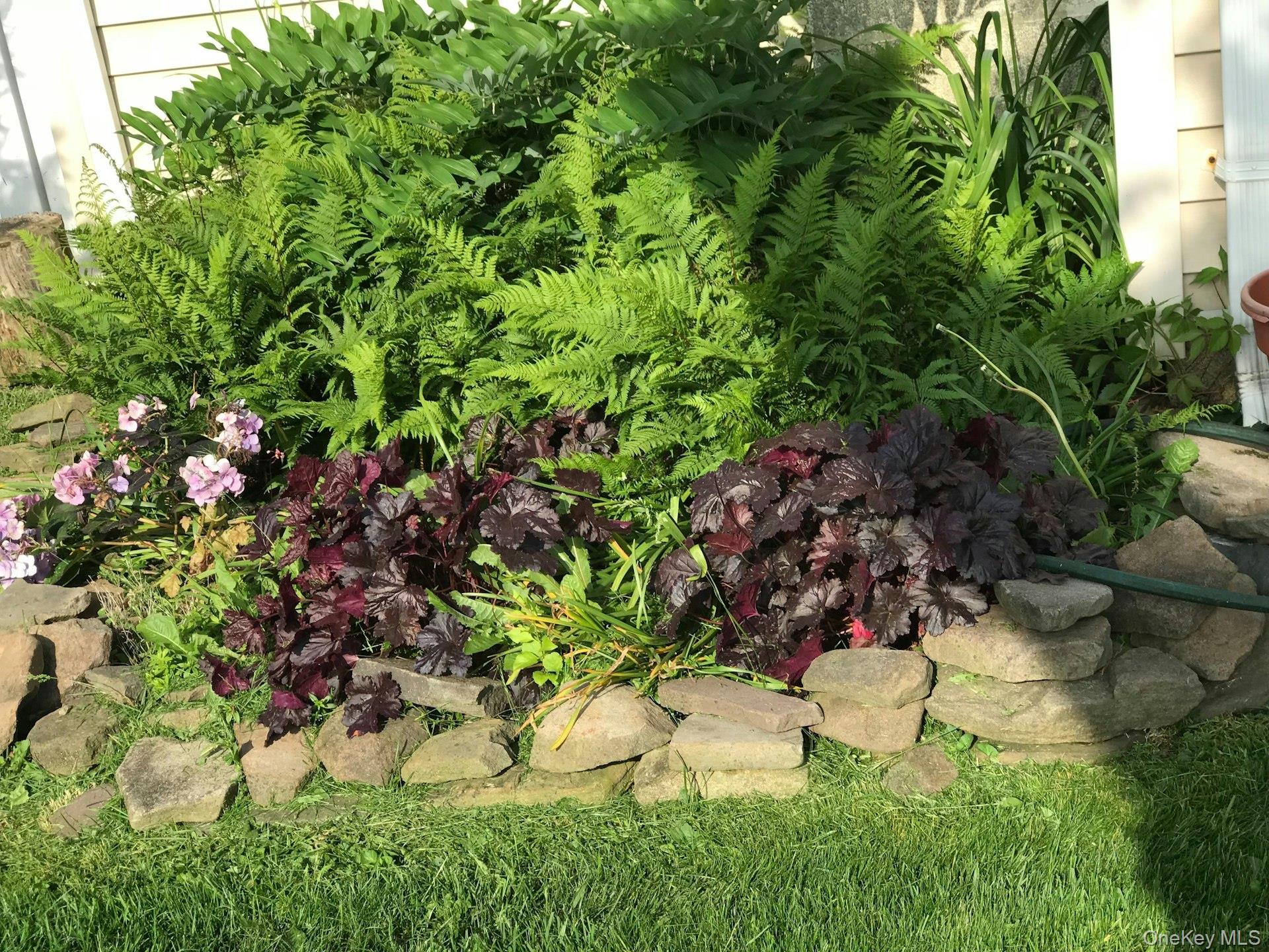 3348 3rd Street Oceanside, NY 11572 - Photo 27 of 32 a view of a garden with a tree