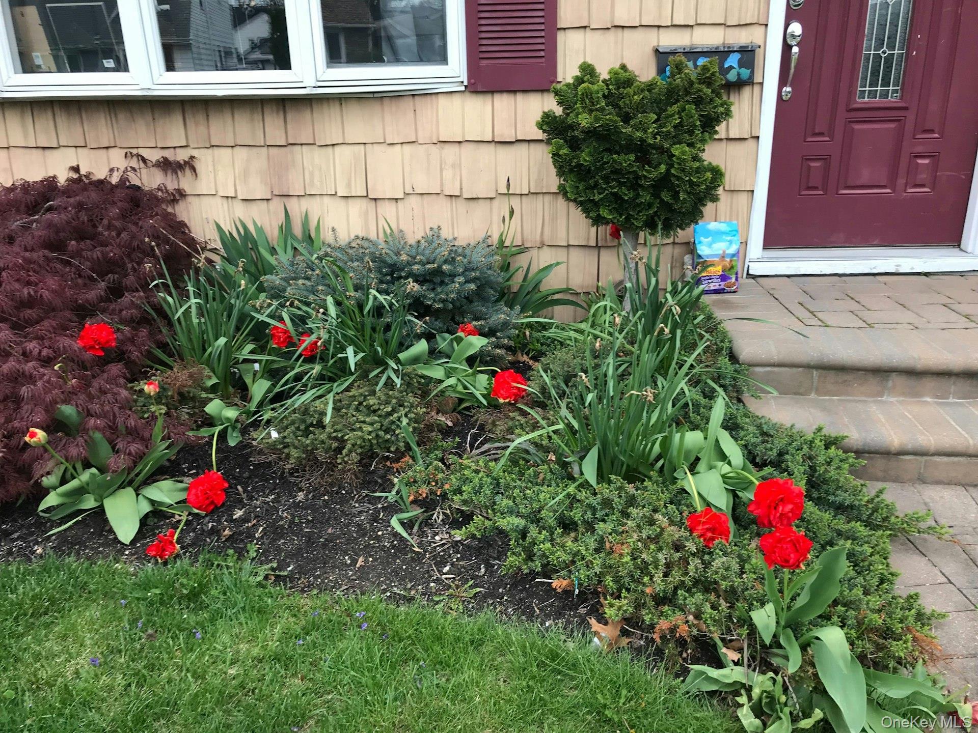3348 3rd Street Oceanside, NY 11572 - Photo 28 of 32 a flower plants in front of a house