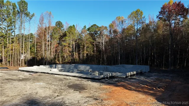 a view of a backyard with trees