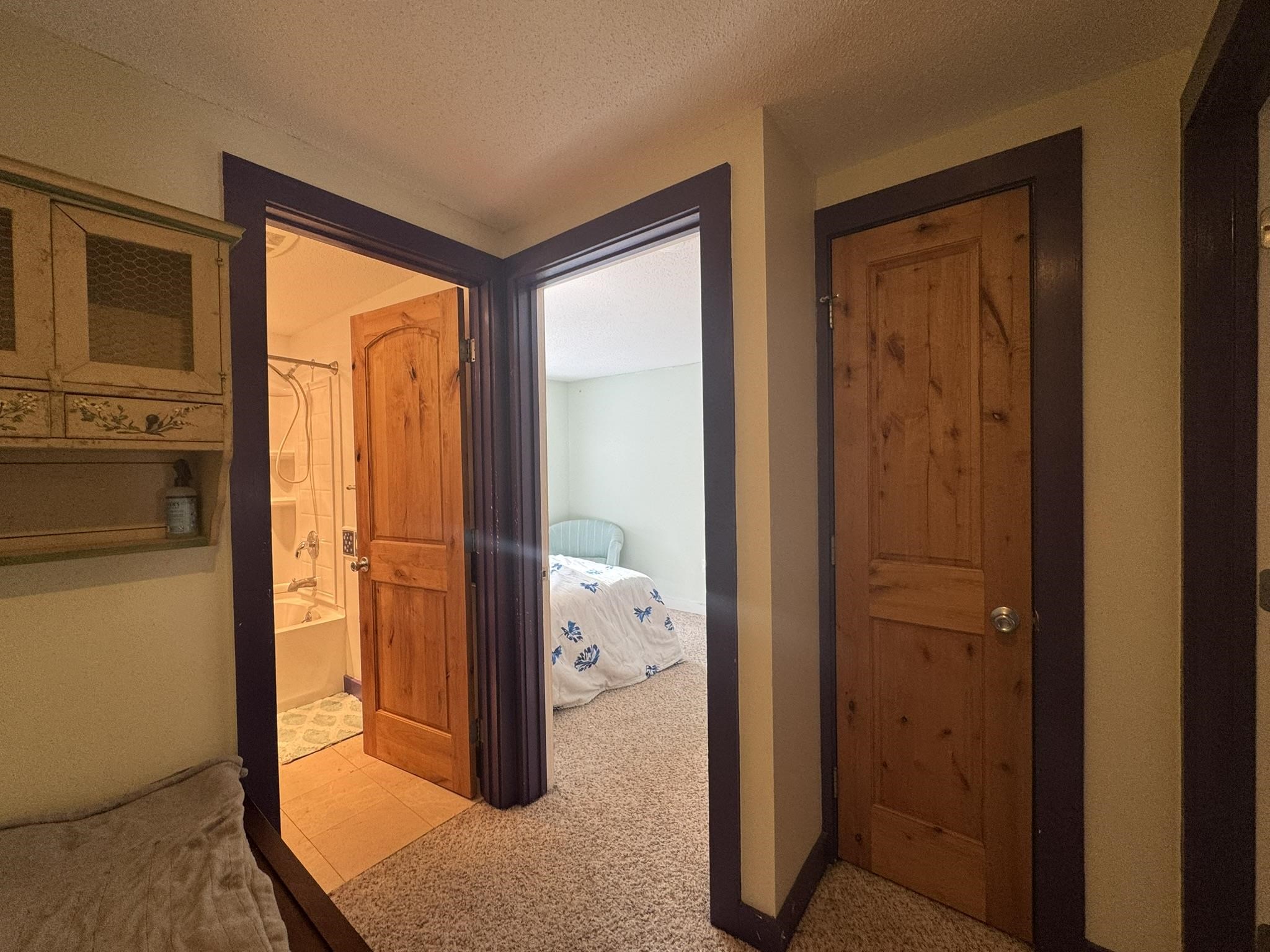 92 Bourn Brook Road, Unit 67 Manchester, VT 05255 - Photo 17 of 30