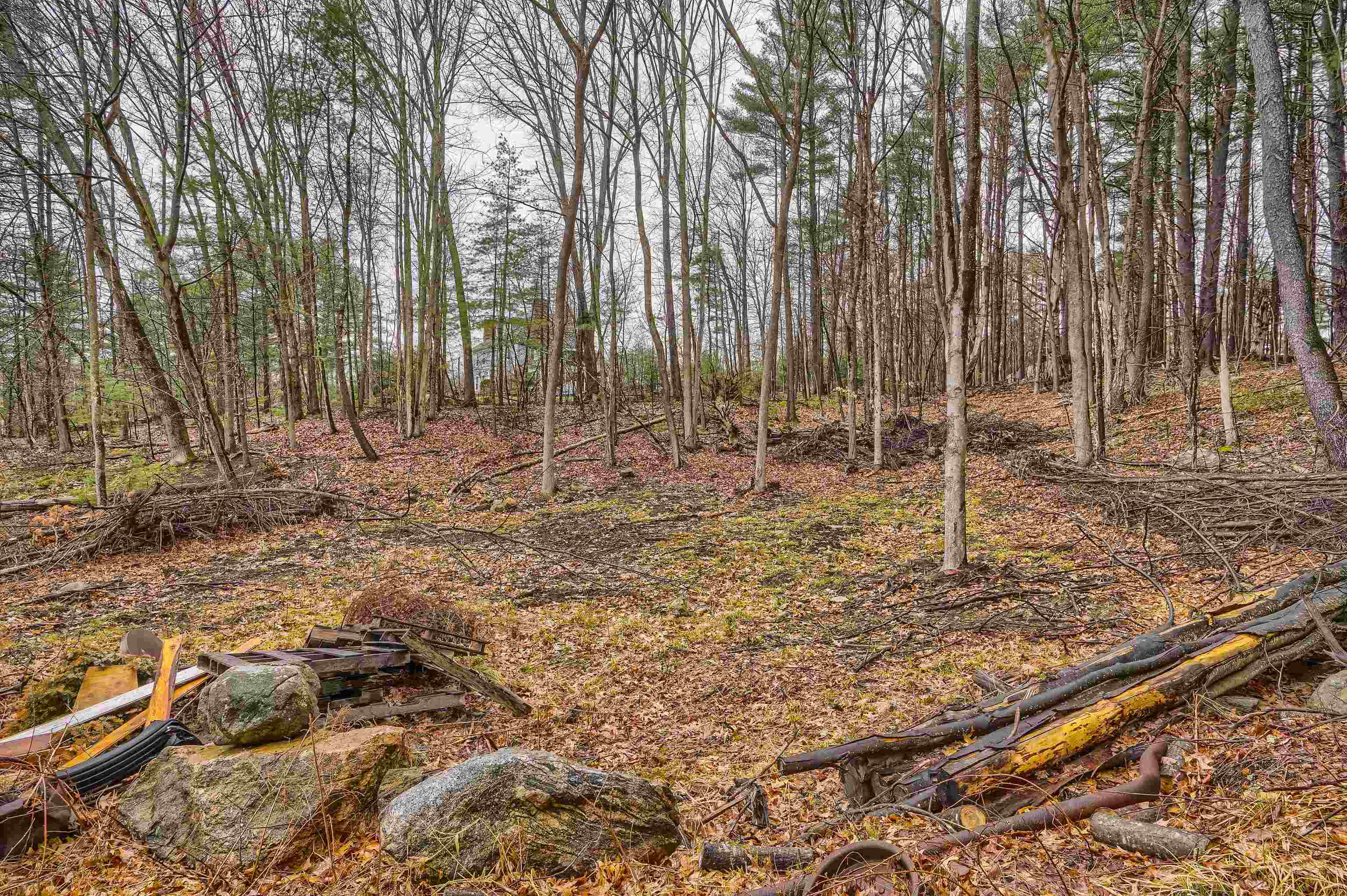 20 Liberty Hill Road Bedford, NH 03110 - Photo 18 of 23