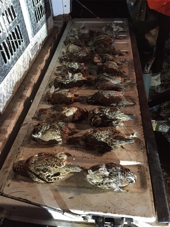 970 County Road 256 Coleman, TX 76834 - Photo 3 of 35 a view of a backyard