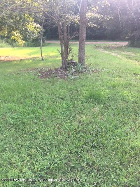6843 Wyatt Tyro Road Como, MS 38619 - Photo 9 of 11 IMG_2459