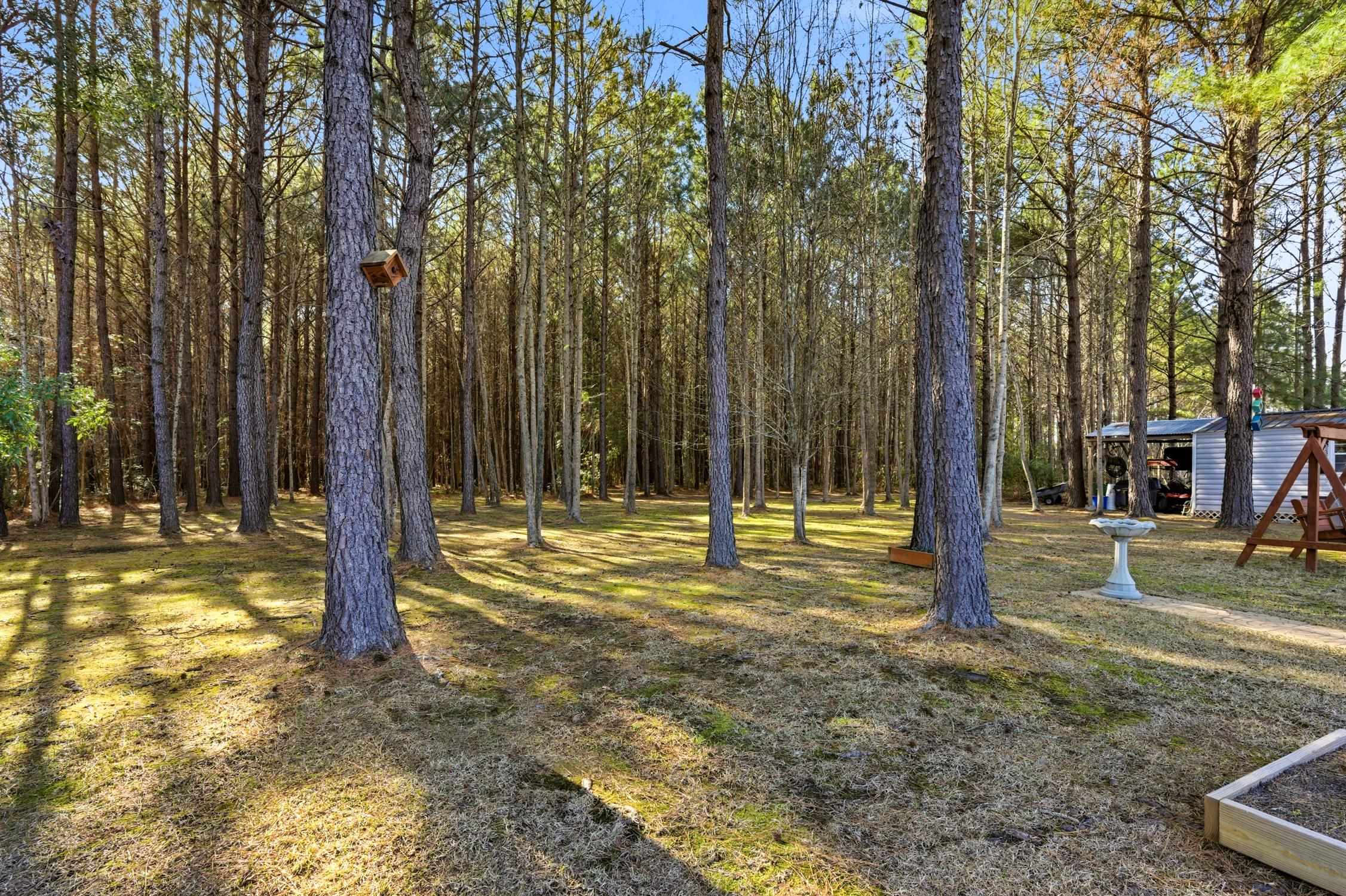 263 Morris Road Conway, SC 29526 - Photo 30 of 33 Gallery Image 30