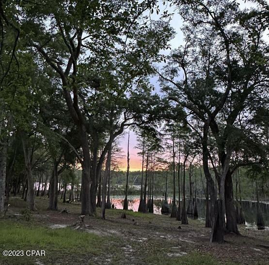 3163 River Road Vernon, FL 32462 - Photo 26 of 48