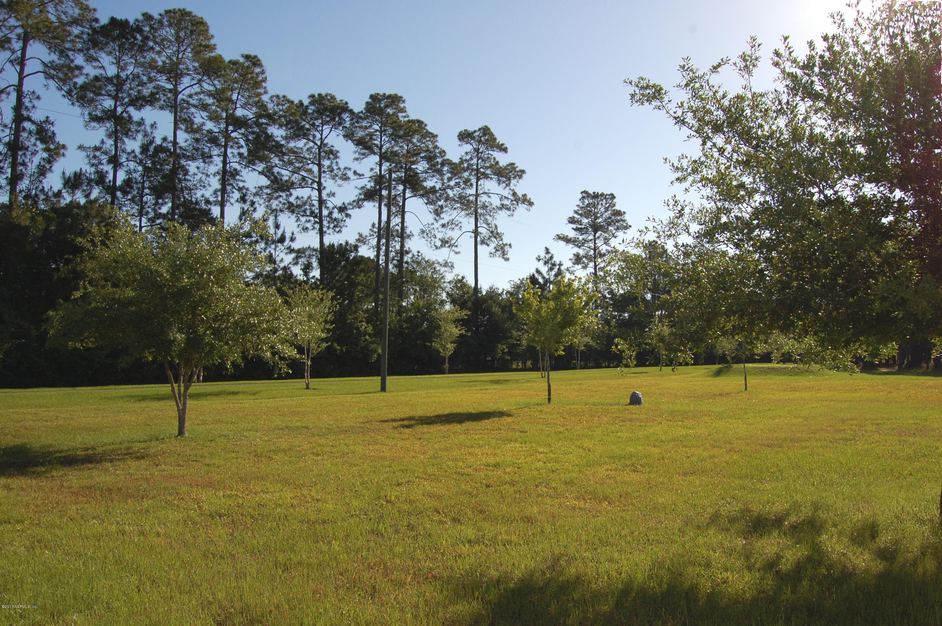 5313 Manning Cemetery Road Jacksonville, FL 32234 - Photo 31 of 51 Middle way backyard with fruit trees