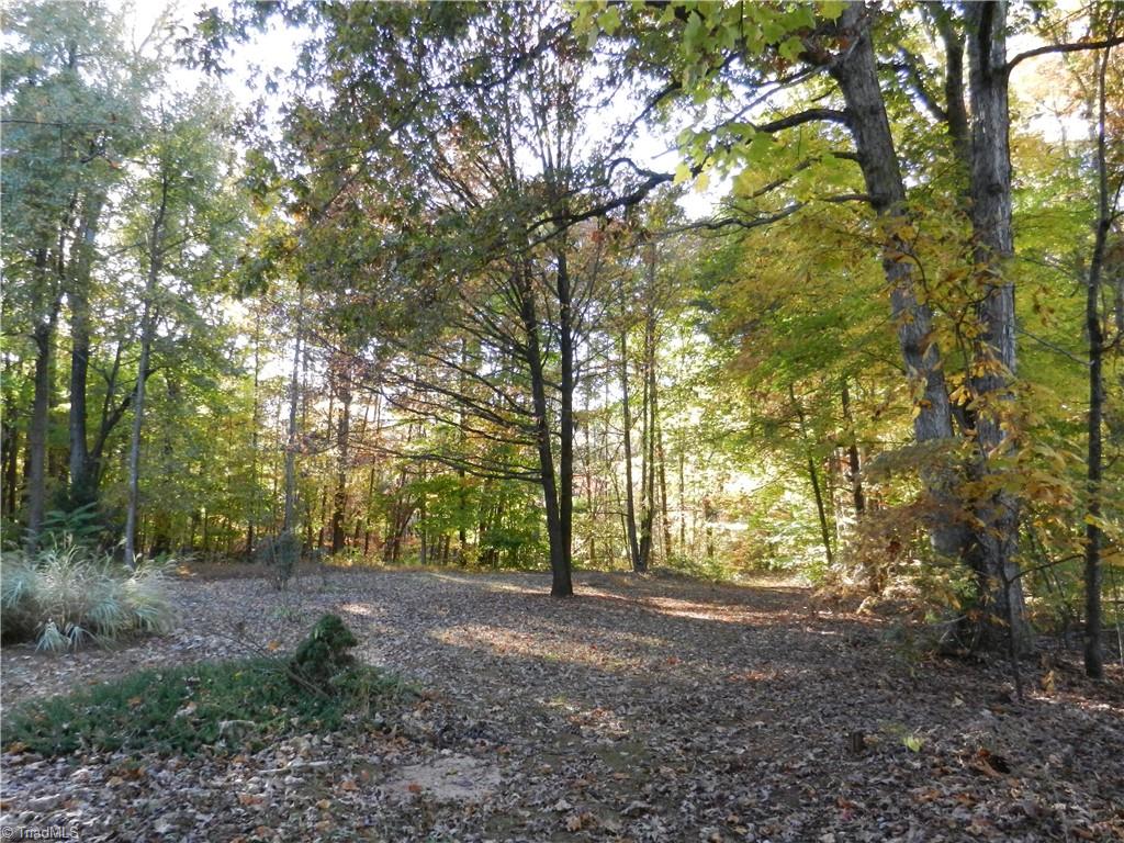 7423 Friendship Church Road Browns Summit, NC 27214 - Photo 23 of 25 Gallery Image 23
