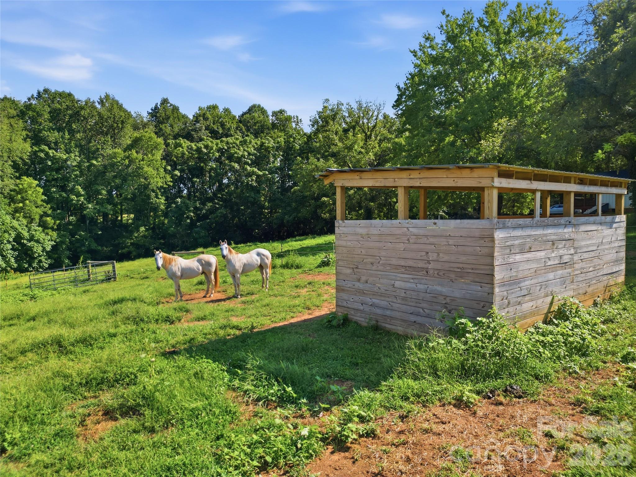 594 Rash Road Olin, NC 28660 - Photo 35 of 43 Gallery Image 35