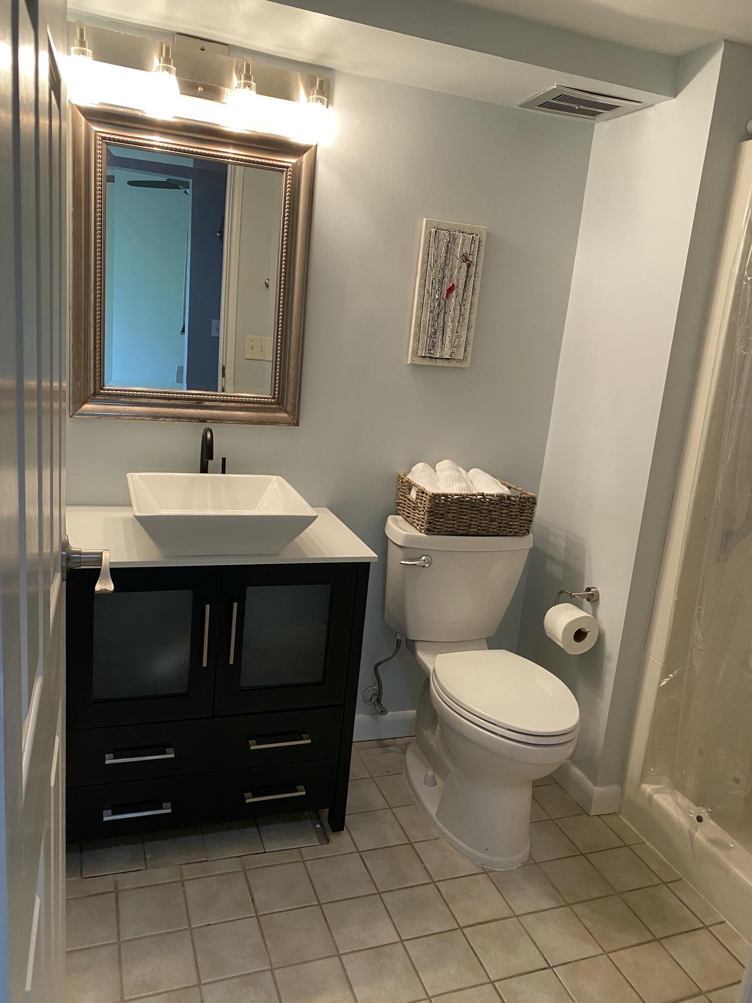 1325 South Maple Road, Unit 103 Ann Arbor, MI 48103 - Photo 17 of 26 Master bath