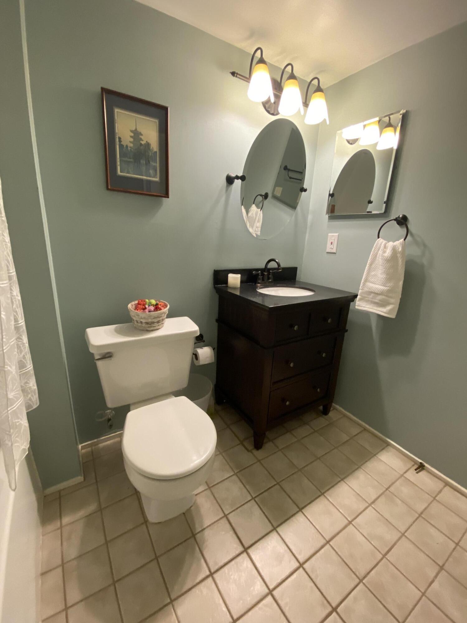 1325 South Maple Road, Unit 103 Ann Arbor, MI 48103 - Photo 9 of 26 Second bath with tub shower