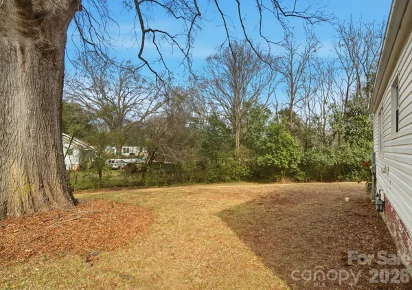 a view of backyard with tree