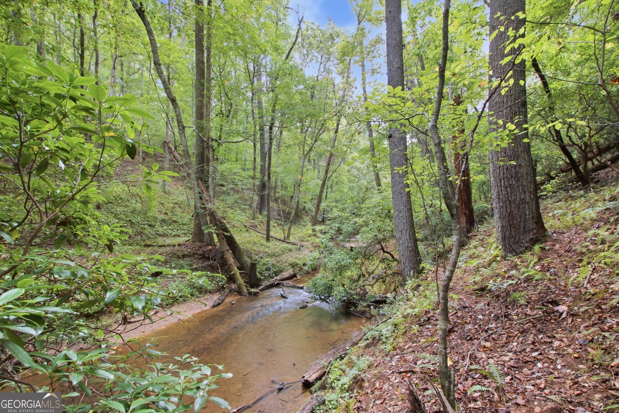 1582 Jennys Cove Road Cleveland, GA 30528 - Photo 11 of 27 Gallery Image 11