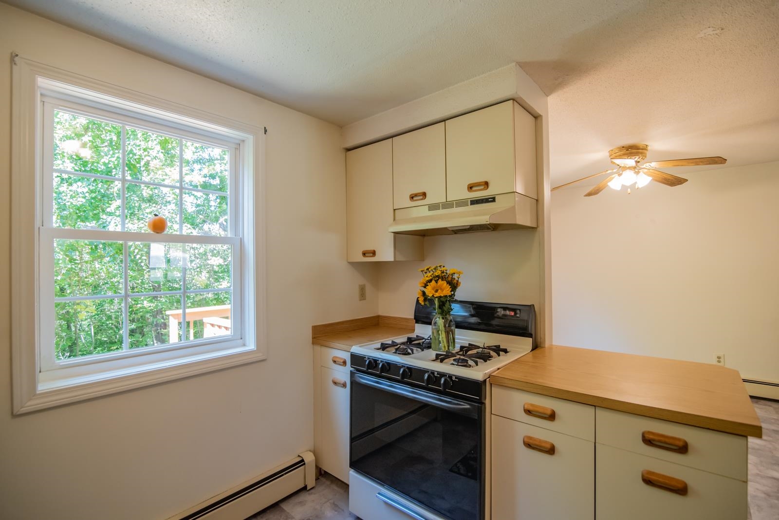 46 B Dale Road, Unit B Hooksett, NH 03106 - Photo 3 of 35