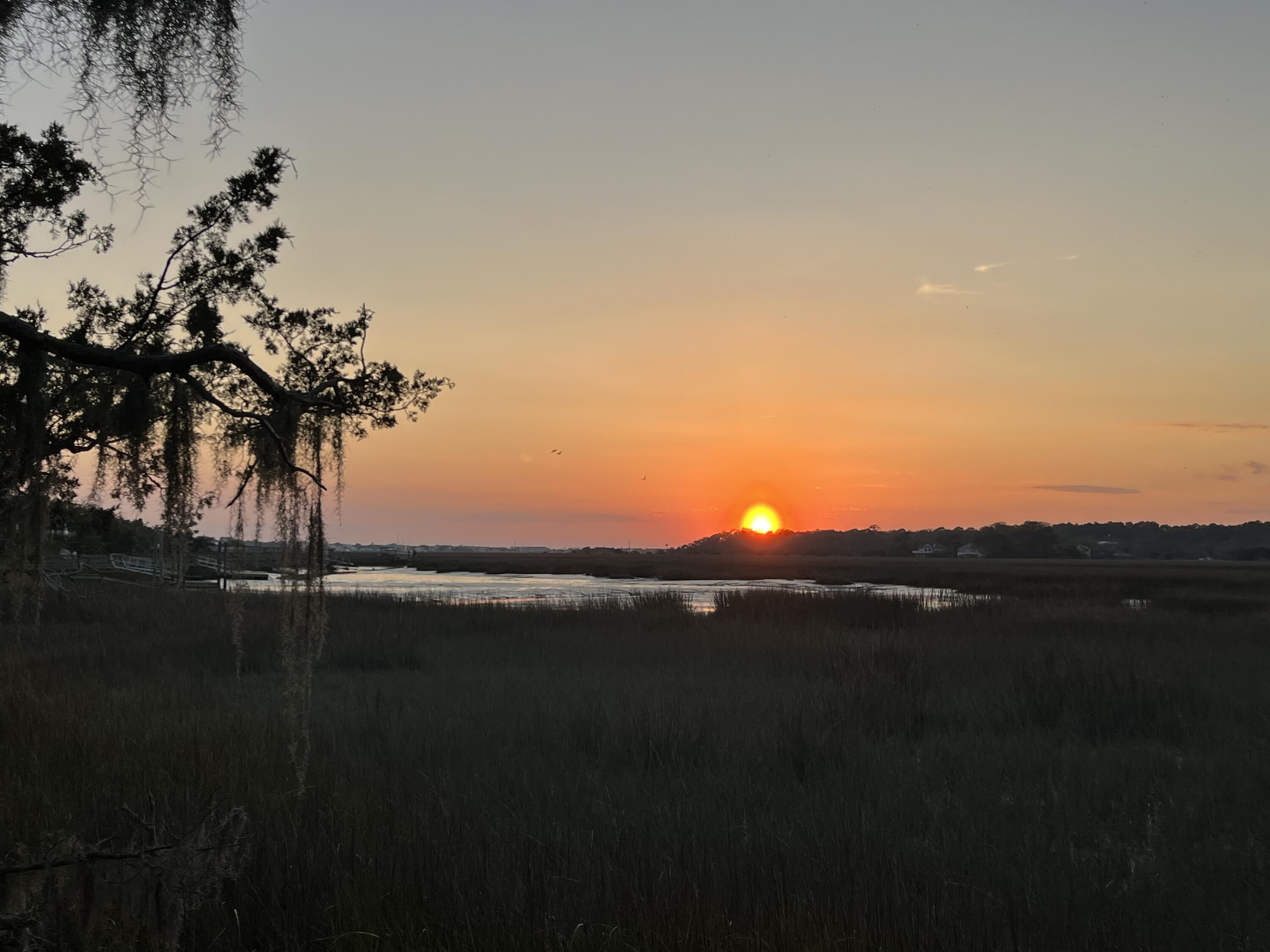 209 Jungle Road Edisto Beach, SC 29438 - Photo 5 of 44