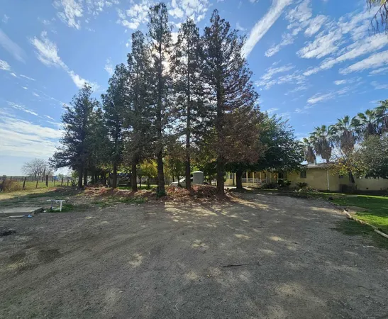 a view of a yard with a tree
