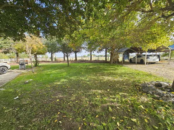 a view of a yard with a tree