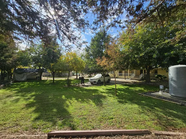 a garden with trees in the background